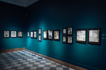 2025/11/dsc 4654-c-grzegorz-karkoszka