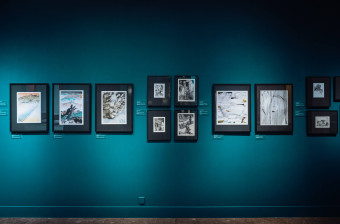 2025/11/dsc 8044-c-grzegorz-karkoszka