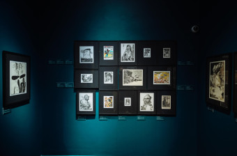 2025/11/dsc 8057-c-grzegorz-karkoszka