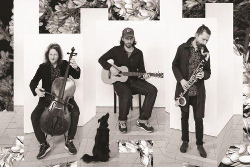 Polski Piach ponownie gra Reksia