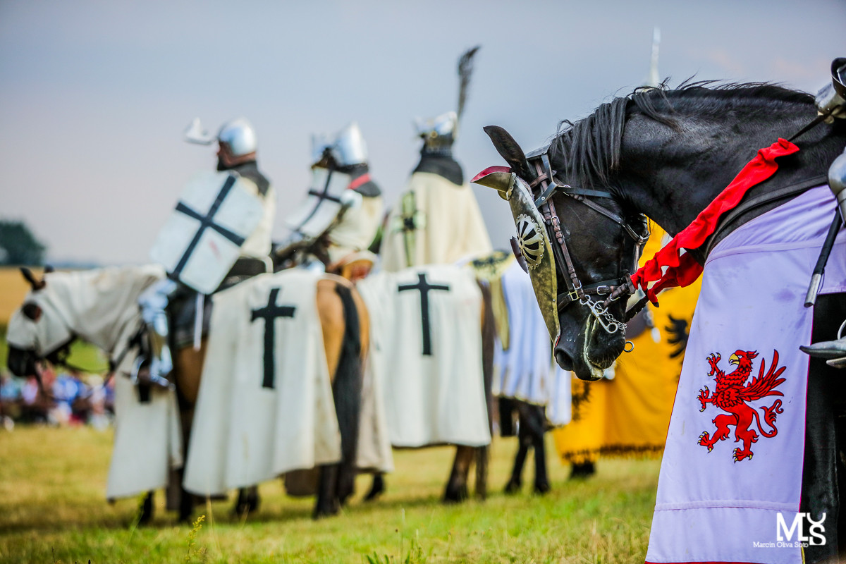 Grunwald 1410: relacja z obchodów 605. rocznicy bitwy