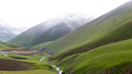 Max Cegielski i Mikołaj Długosz oraz warsztaty dla dzieci "Ekonomiczne Zoo" w Salonie Ciekawej Książki | 21-22.11