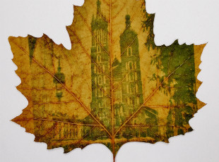 "Fotosynteza" Marka Jana Karasia w Muzeum Historii Fotografii