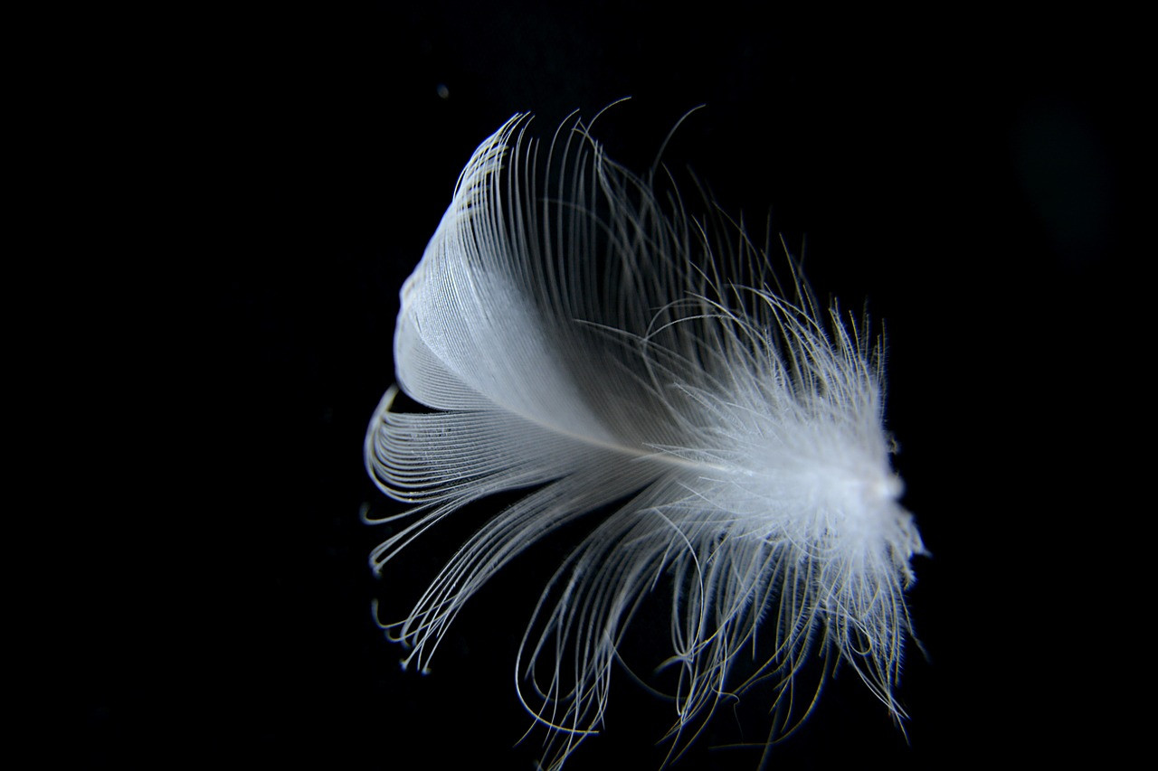 Dziewiętnasty odcinek "Języka Giętkiego" o słowach: lekki, zelżyć, znieważyć [eNCeK Radio]